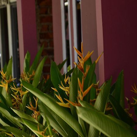 Baronda Guest House 索龙 外观 照片